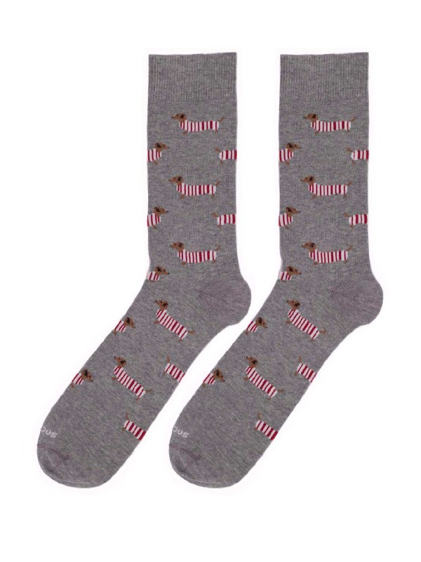 socksandco teckel gris