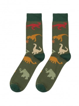 Chaussettes de dinosaure