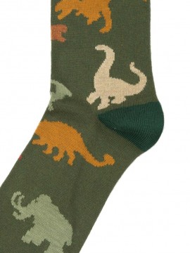 Dinosaur socks